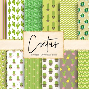 Cactus digitaal papier, planten, sappig, woestijn, tuin, tuinieren, bloemen groene plant, plantkunde, bloei, botanisch, achtergronden, plakboek