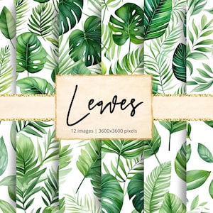 Tropische Blätter Digitales Papier, Grün, Monstera, Palme, Banane, Farn, Exotisch, Dschungel, Üppig, Insel, Floral, Greenery, Hintergründe, Scrapbook