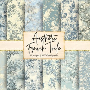 May include: A set of 12 digital paper patterns featuring a blue and white toile design. The patterns are perfect for scrapbooking, card making, and other crafting projects.  "Aesthetic French Toile" is written in black text on a white background.