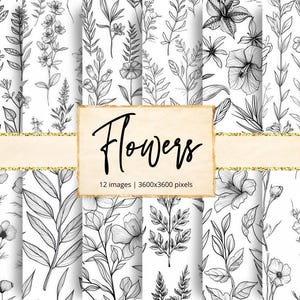 Linjära blommor digitalt papper, svartvita blommor, våräng, blommor, botaniska, vildblommor, skiss, kronblad, bakgrunder, klippbok