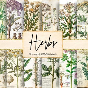 Carta digitale con erbe, piante, botanica, verde, foglie, natura, strega, magia, speziale, erboristico, sfondi, diario di scarto, album di ritagli