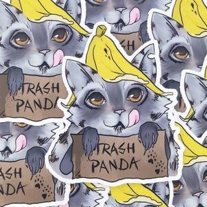 Trash Panda!