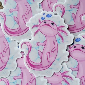 Axxy the Axolotl