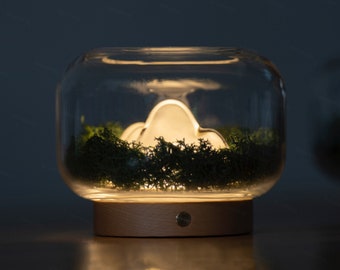Fragrance Diffuser Night Light Dry Flower Wooden Ornaments Home Decor Creative Seasons Christmas Gift Glass Tank Night Lamps Sleep Helpful