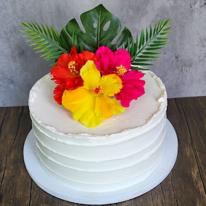 Monstera Leaf Cake - Etsy