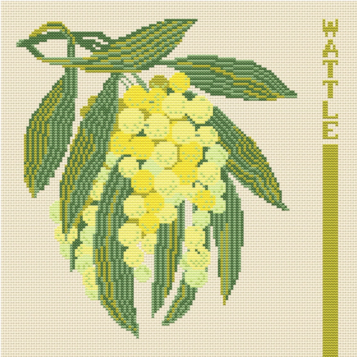 Wattle Pattern Raymond Golden Wattle Cross Stitch Pattern, Australian Stamp, Digital Download ...
