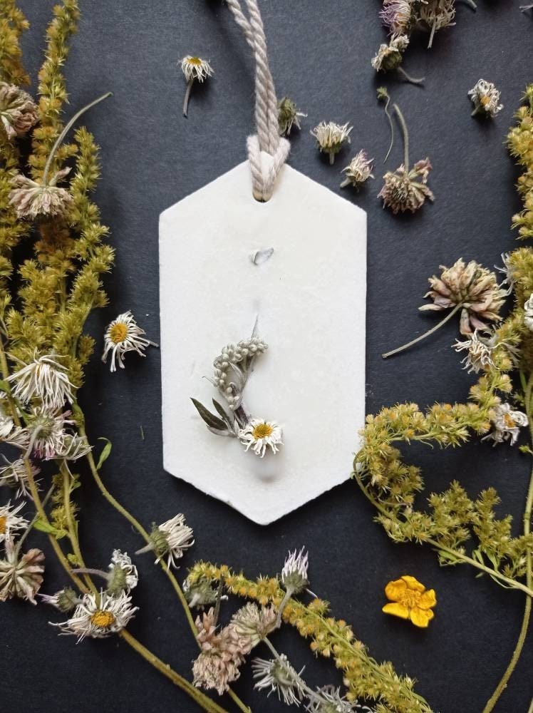 Tablette de Cire Parfumée - Orange Méditerranée