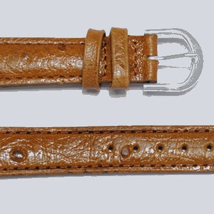 Peut inclure: Un bracelet de montre en cuir marron avec une boucle argentée. Le bracelet a une texture en forme d'autruche.