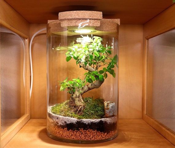 Lamp Bottle Garden Lamp Terrarium Floor Lamp Table Lamp