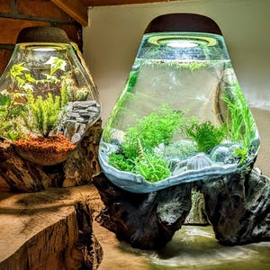 Flaschengarten, Flaschengarten mit Licht, Garten, Geschenk, Pflanzen Dekoration, Stehlampe, Beleuchtung, Deko, Licht, Wohnraum, Blumen