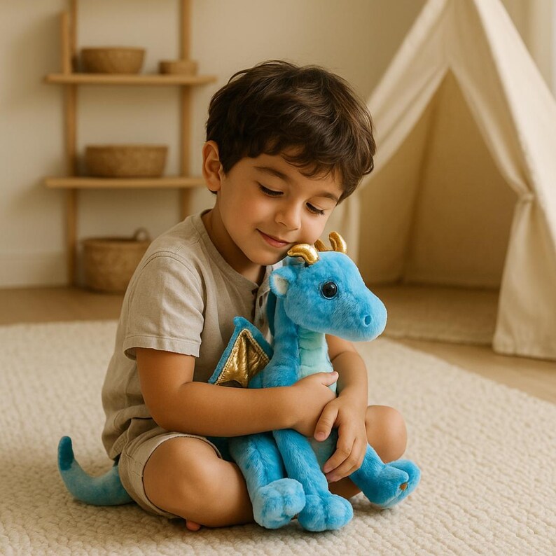 emotional regulation toy