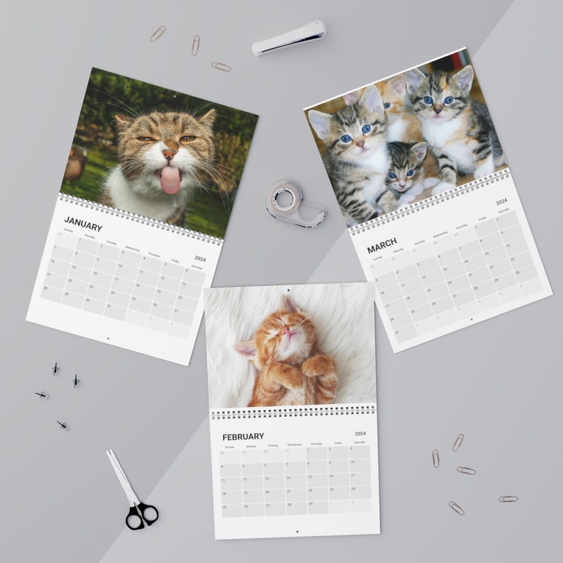 Cat Calendar 2024 Etsy