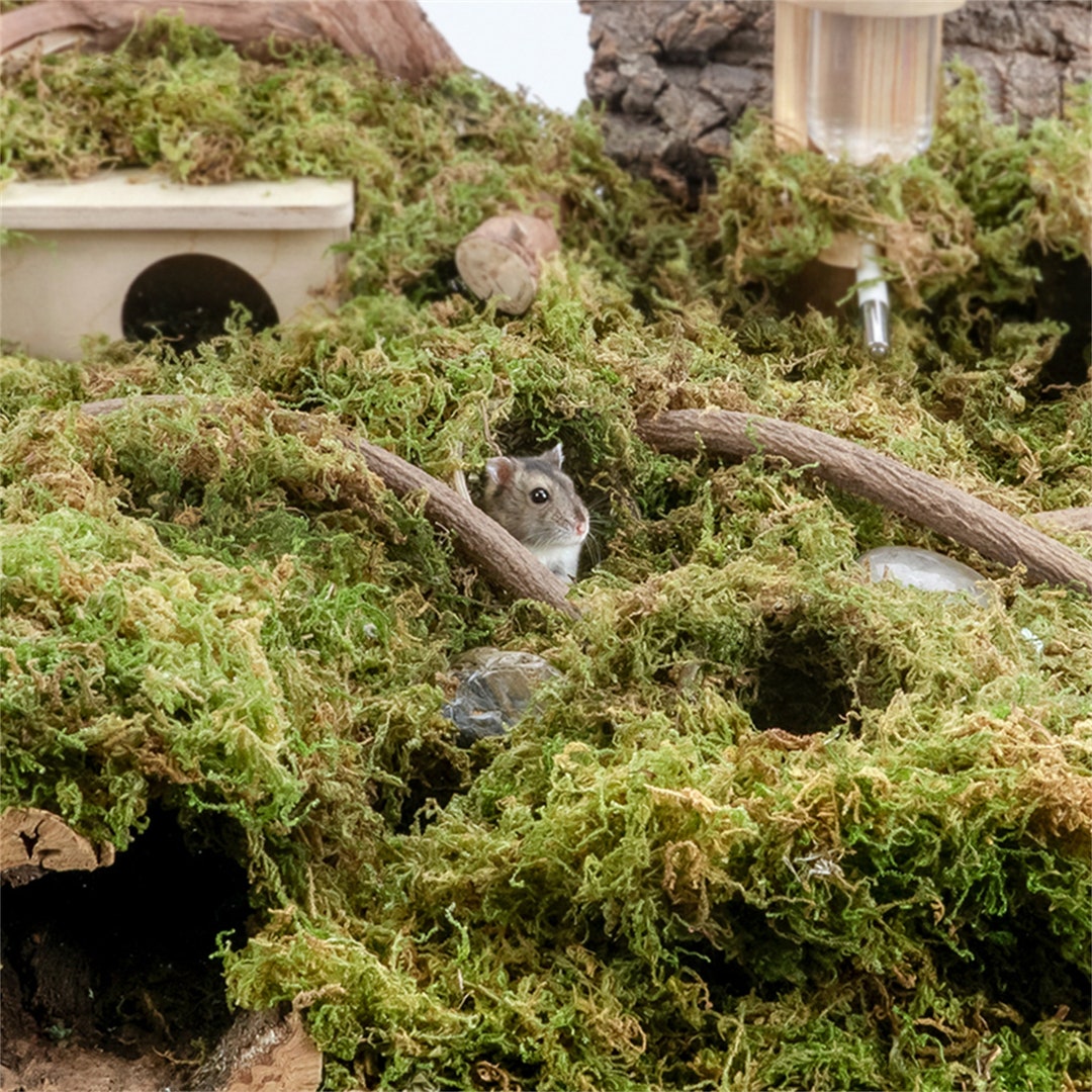 Hamster Cage Decoration Dry Moss for Small Pets Natural Moss Chew Toys