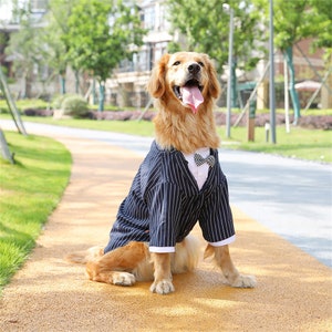 Dog suit deals jacket
