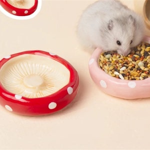 Pink/Red Mushroom Pet food bowl for small birds,mice,rats,sugar gliders and hamsters Hamster Kawaii food dish for small animails.