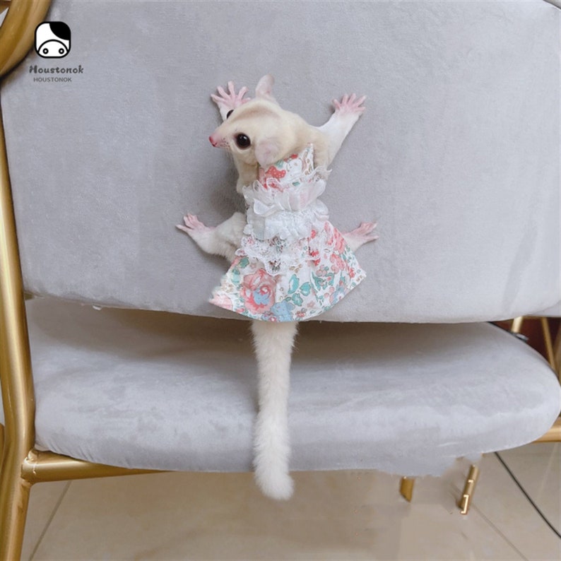 Sugar Glider Clothes Sugar Glider Dress Sugar Glider Outfit Etsy