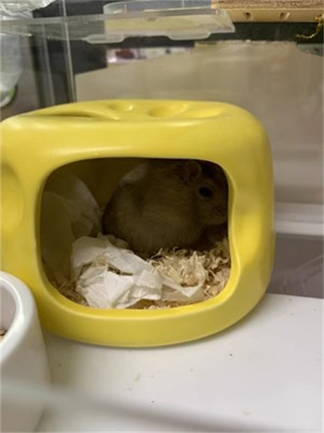 Cute Hamster Hideout Ceramics Bed Hamster Cage Decor Small Animal