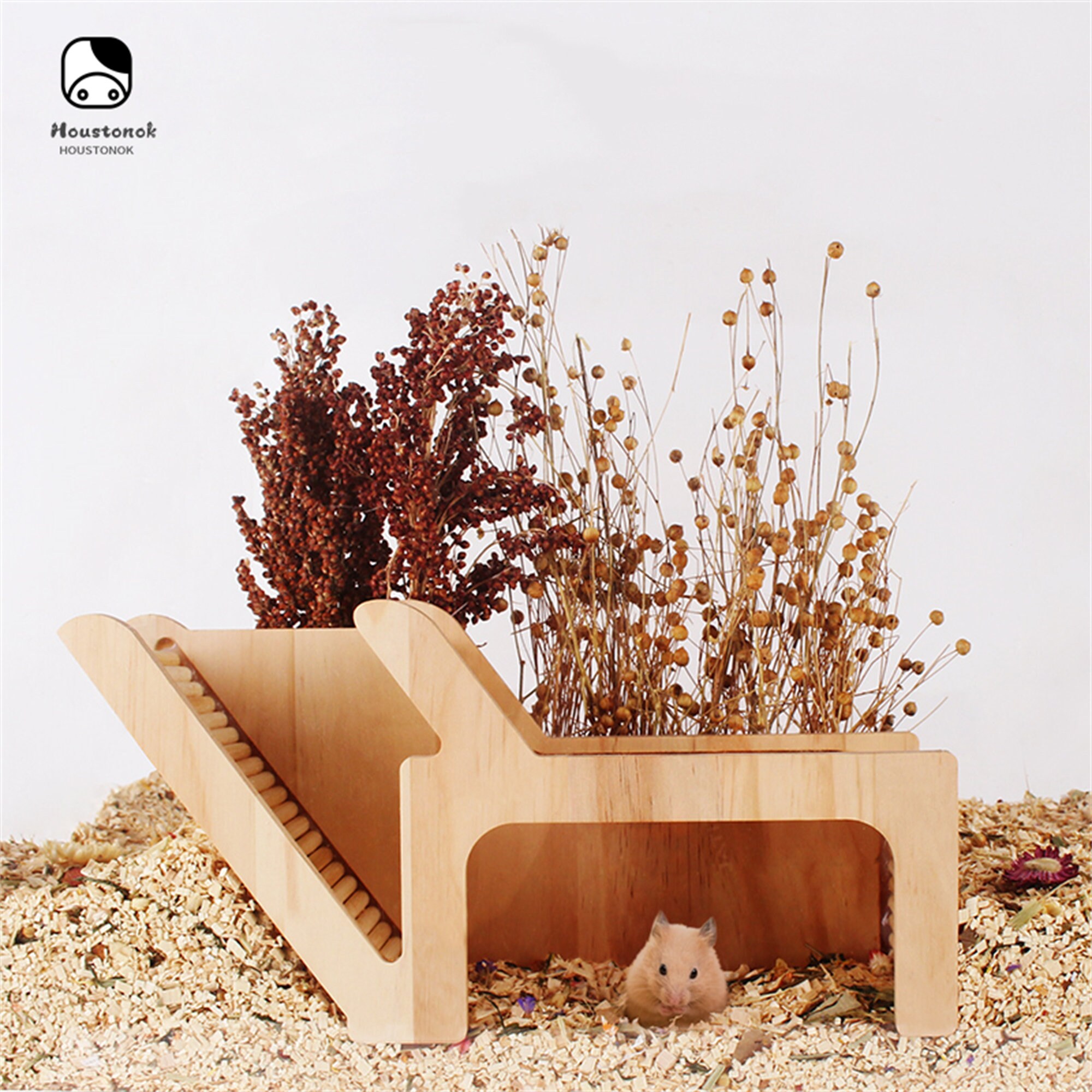 Hamster Underground Watch Box Hamster Hideout Hamster Bamboo Etsy UK