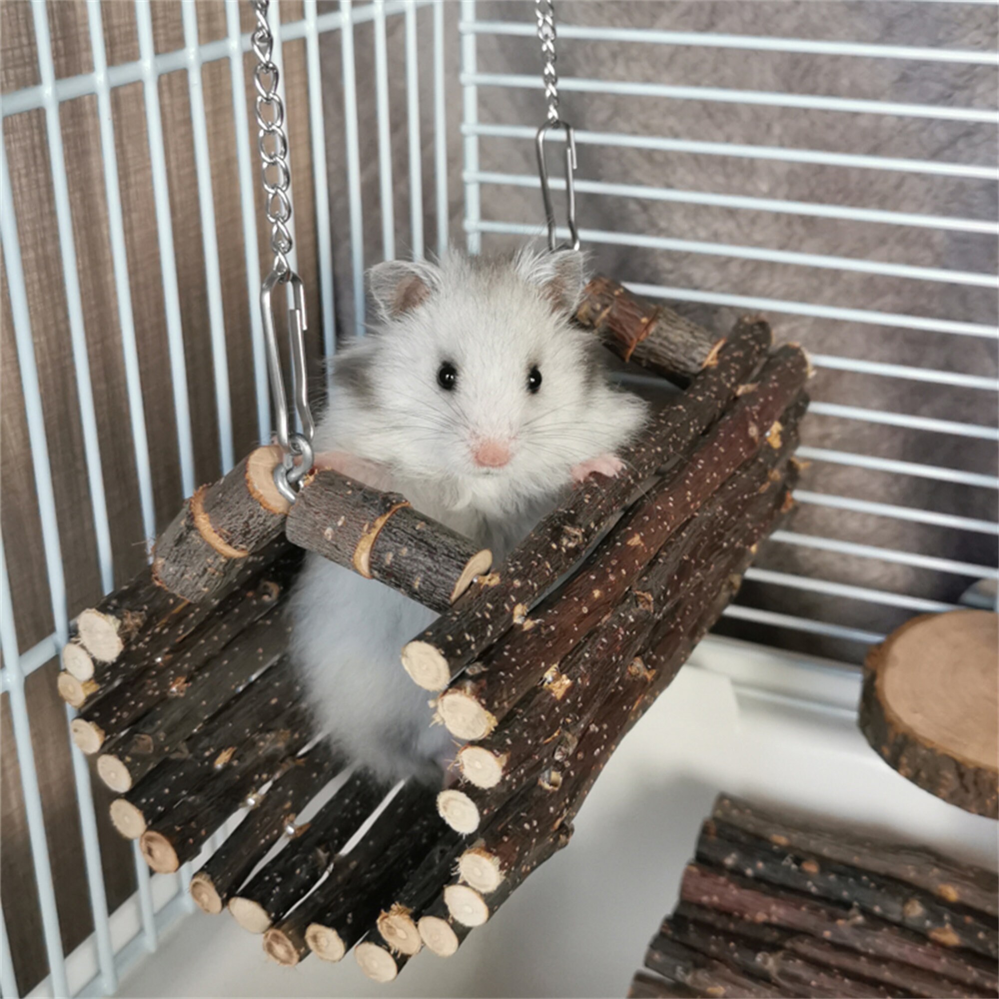 Herformuleren Londen Nodig uit Hamster hangmat Hamster kauw speelgoed Kleine dieren - Etsy Nederland