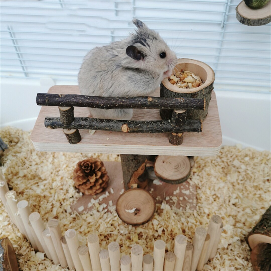 Hamster Climb Ladder Hamster Supplies Small Animals Stairs Applewood