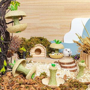 Image showcasing Hamster Chew Toys Hamster Dish Hamster Cage Decor Small Animals Toys ...