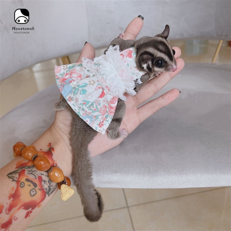 Sugar Glider Clothes Sugar Glider Dress Sugar Glider Outfit Etsy
