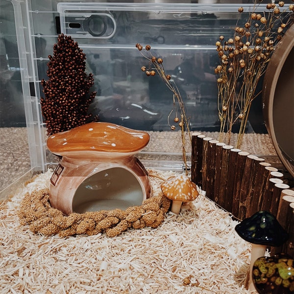Curated visual reference: Custom Hamster Cage Decorative Accessories Reference: Hamster Hideout