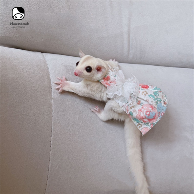 Sugar Glider Clothes Sugar Glider Dress Sugar Glider Outfit Etsy