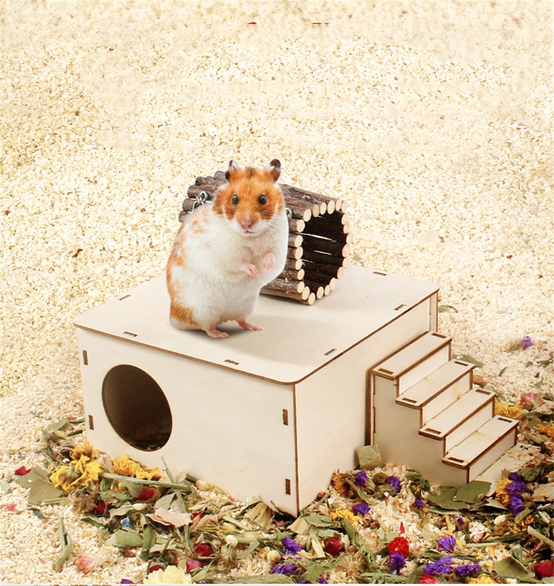Picture of Hamster Hideouts Hamster Ladder Hamster Supplies Multilayer Board Toys ...
