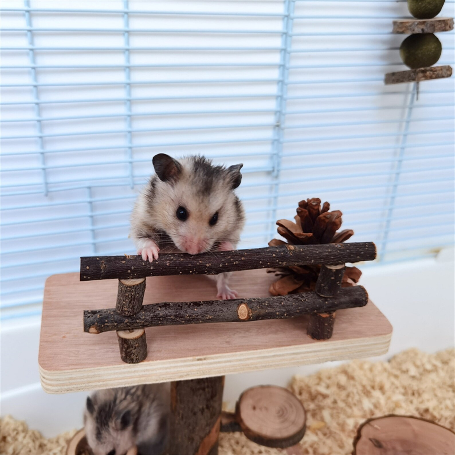 Hamster Climb Ladder Hamster Supplies Small Animals Stairs Etsy