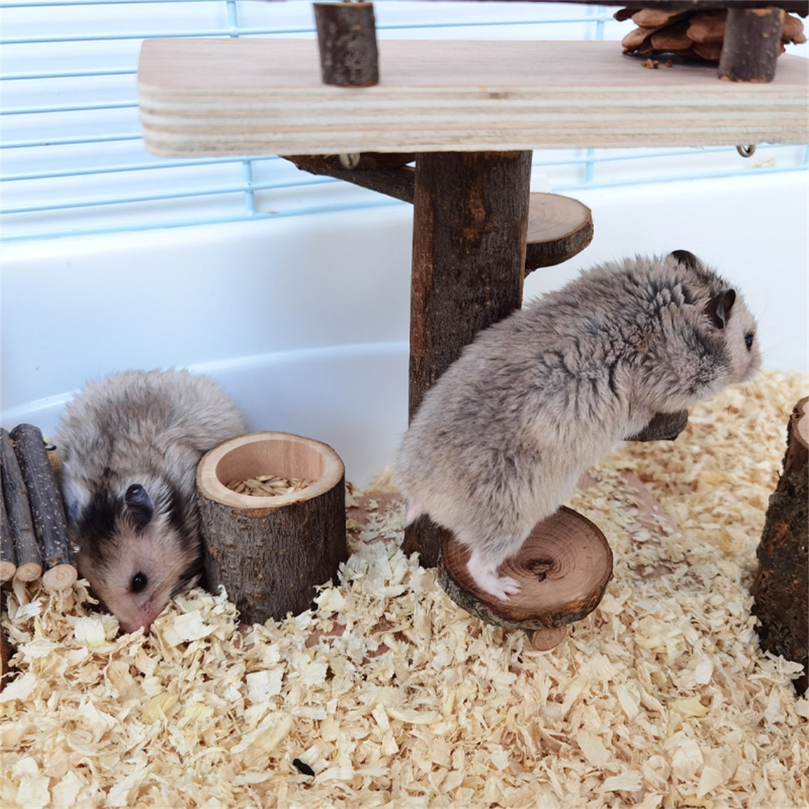 Hamster Climb Ladder Hamster Supplies Small Animals Stairs Etsy