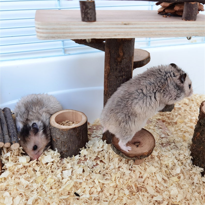 Hamster Climb Ladder Hamster Supplies Small Animals Stairs Etsy