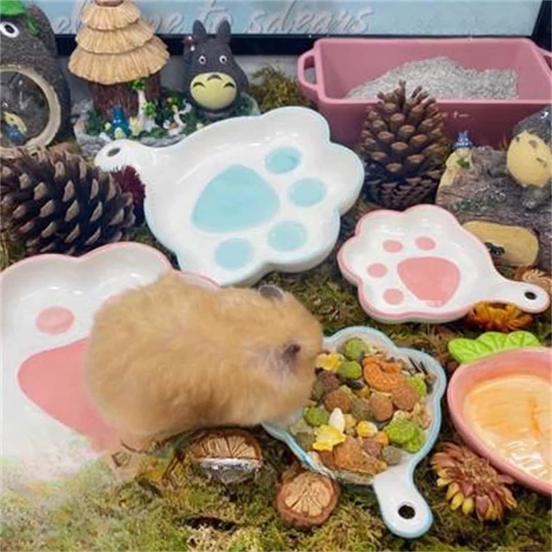 Pink/blue Claw Pet Food Bowl for Small Birds,mice,rats,sugar Gliders