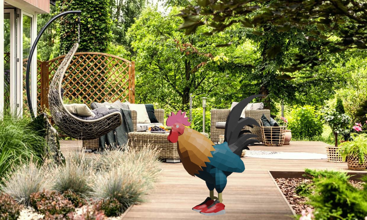 Tenis gallo sale