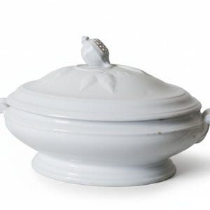 Antique Ironstone Covered Vegetable Dish by T & R Boote