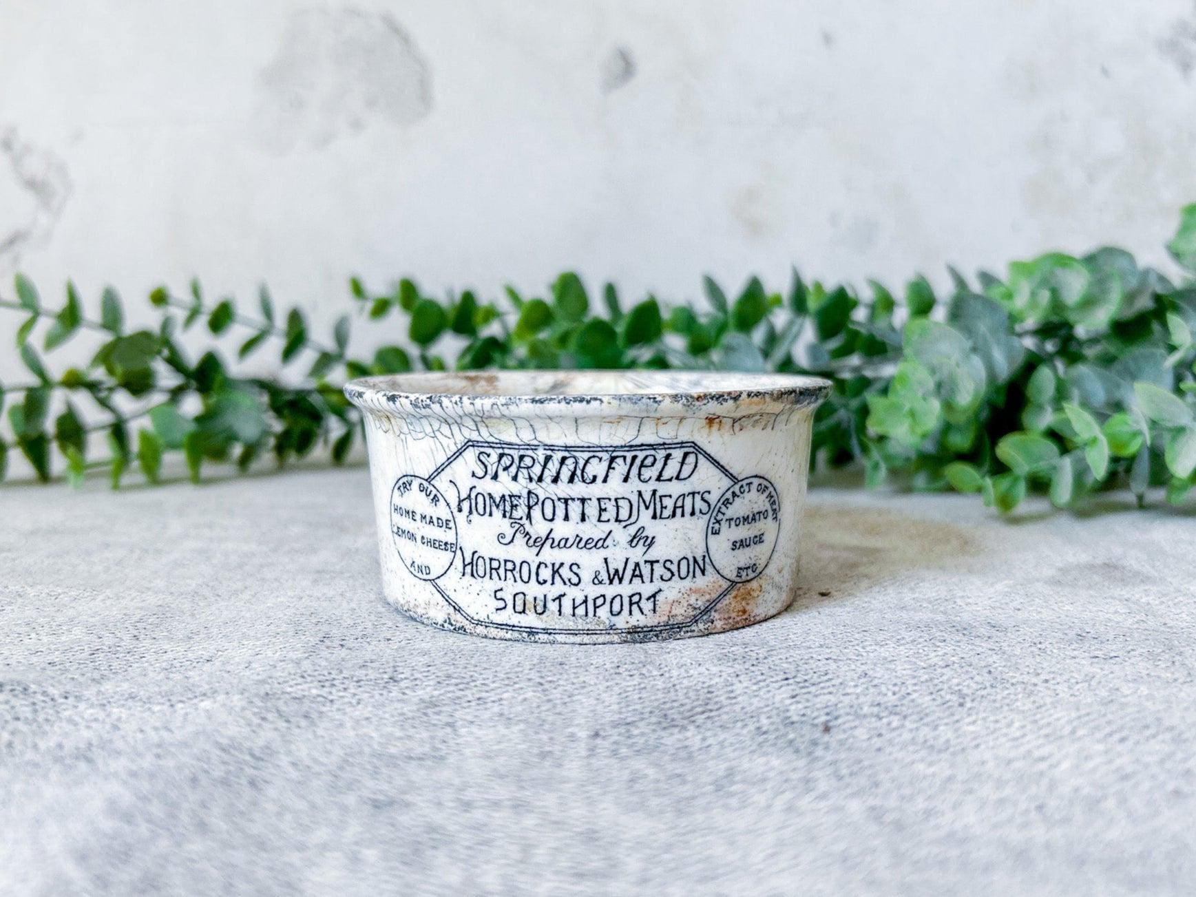 Antique Potted Meat - Etsy