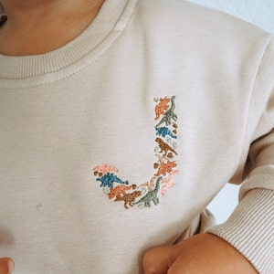 Custom Embroidered Toddler Sweatshirt, Toddler Neutral Sweaters, Embroidery Name, Personalized Kid Sweater, Dinosaur Embroidery