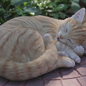 Puede incluir: Una figura realista de gato atigrado naranja en posición acurrucada y durmiente. El gato presenta una textura de pelaje detallada con rayas de color naranja más oscuro, ojos cerrados y patas delanteras metidas bajo la barbilla.