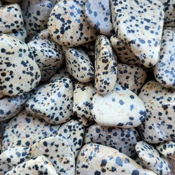 Tumbled Dalmation Jasper Stones (1-2.5 in)