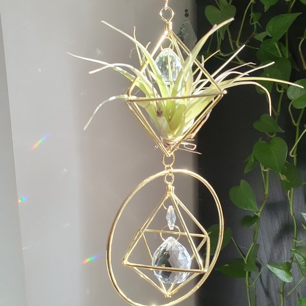 Crystal Suncatcher with Tillandsia - Home Decor - Plant Suncatcher - Hanging Decoration