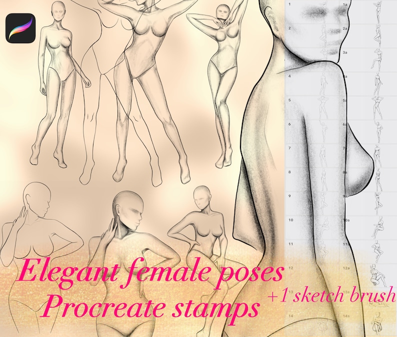 May include: A set of digital stamps for Procreate featuring elegant female poses in a pencil sketch style. The set includes 13 different poses and a bonus sketch brush.