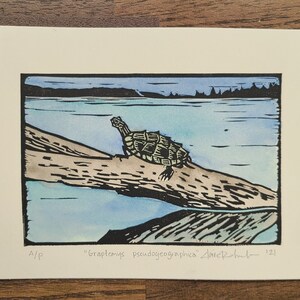 Landkarte Schildkröte Original Linoldruck