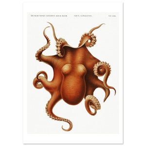 Octopus Print in orange, nautical home decor, octopus wall art, Octopus poster, bathroom decor, wall art beach house decor