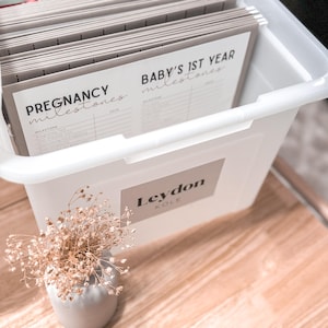 Pregnancy Milestones | Memory Box | Baby Keepsake | Baby Shower Gift | Gifts for Mom | File Box Cover Pages for Kids Baby's 1st Year