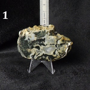 Peut inclure: Une géode d'agate verte, blanche et brune sur un support en plastique transparent. La géode mesure environ 12,5 cm de large.