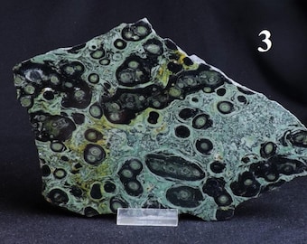 Kambaba Jasper, Crocodile Jasper - Natural Rough Stone - Slab/Slab/Slice Stone Size Minerals - 1 Side Polished Decoration Collection