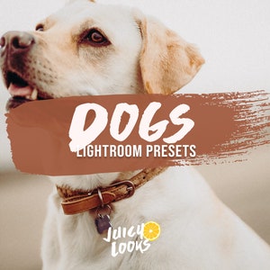 5 Dog Presets, Lightroom Mobile & Desktop, Photo Filter, Pets, Paws, Puppy Preset