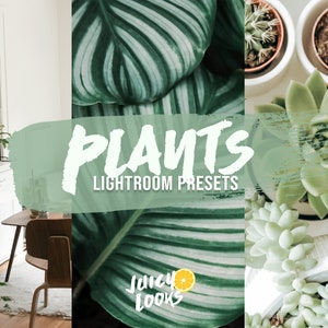 5 Plant Lightroom Presets, Mobile and Desktop, Lightroom Overlay, Filters, Flowers, Florist