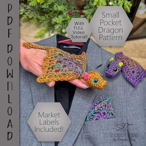 PDF Small Pocket Dragon Coaster Crochet Pattern ARSerendipityDesigns