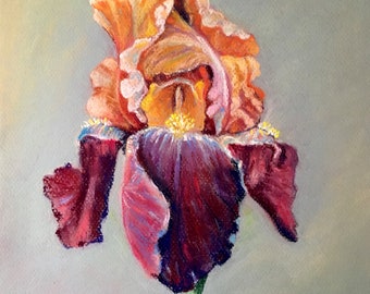 Iris, pastel painting, art, flowers, nature, handmade